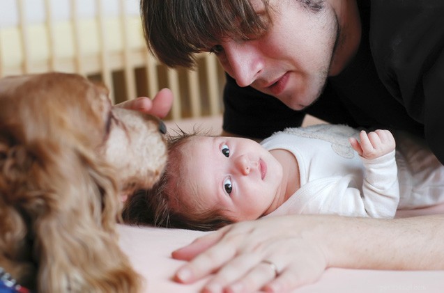 Hoe laat je je hond kennismaken met een nieuwe baby