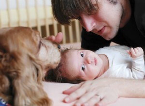 あなたの犬を新しい赤ちゃんに紹介する方法 