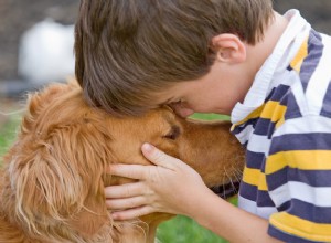 Ajudando uma criança a lidar com a perda de um animal de estimação