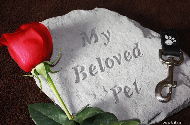 Een huisdier verliezen:omgaan met de dood van je hond