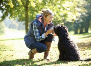 En husdjursvaktsguide för när vänner tittar på din hund