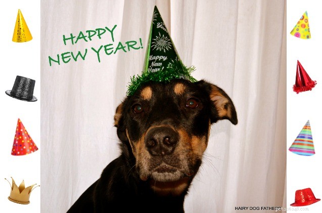 Ask The Hairy Dogfathers:goede voornemens voor het nieuwe jaar