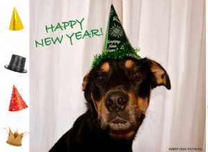 The Hairy Dogfathers：New Year’s Resolutions