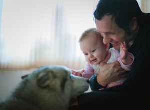The Hairy Dogfathers:모피와 인간 아기에 대해 처음으로 걱정하는 부모들