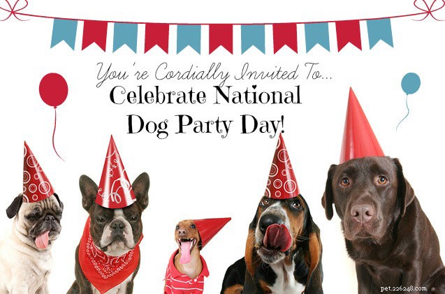 9 astuces pour organiser une fête de chien légendaire