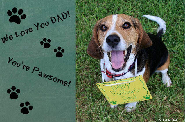 Спросите волосатых отцов собак:планирование дня скромного отца