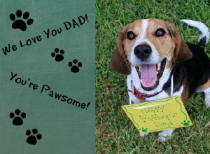 The Hairy Dogfathers：Planning a Frugal Father’s Day