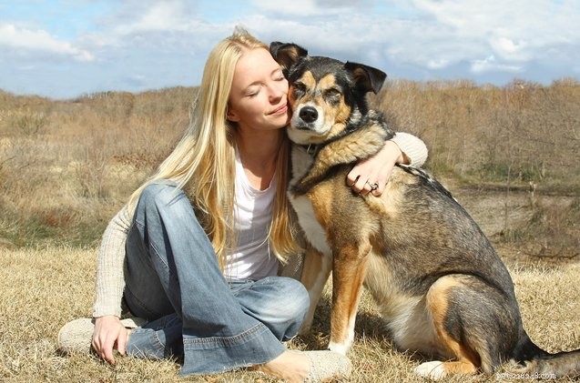 Zeptejte se chlupatých psích otců:Uspořádání péče o pejska
