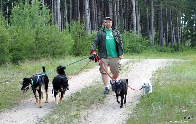 Valpar med tält:rustika tips att komma ihåg när du campar med hundar