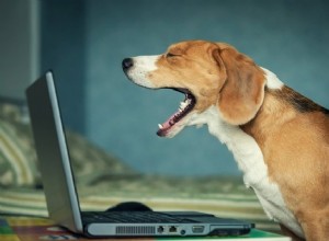 Ask The Hairy Dogfathers :Animal Overshare On Facebook