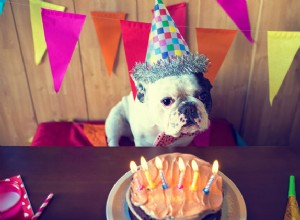Ask The Hairy Dogfathers:Dog Birthday Blues