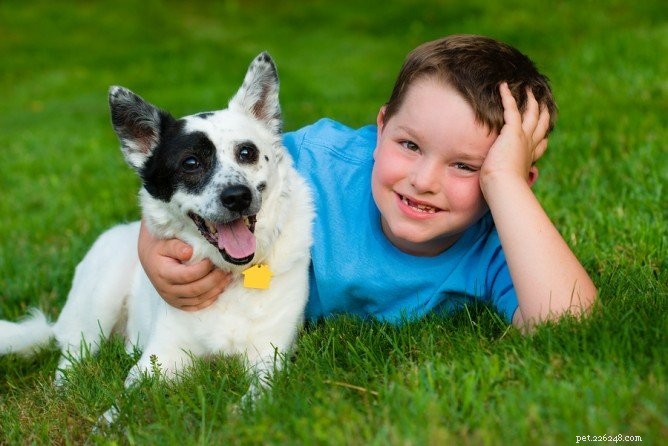 Les 7 principales raisons pour lesquelles votre enfant a besoin d un animal de compagnie