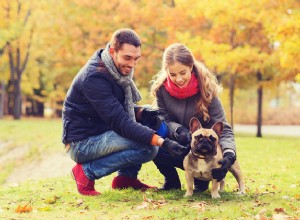 あなたがあなたのパートナーと犬を養子にする前に尋ねるべき6つの質問 