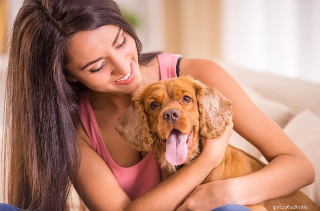 Спросите у волосатых отцов собак:затруднительное положение при сидении с домашними животными 