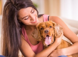 Спросите у волосатых отцов собак:затруднительное положение при сидении с домашними животными 