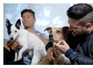 Country Duo Dan + Shay condivide consigli per viaggiare con animali domestici