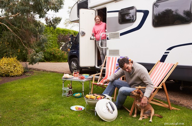 6 razões para acampar com estilo com seu cachorro em um trailer