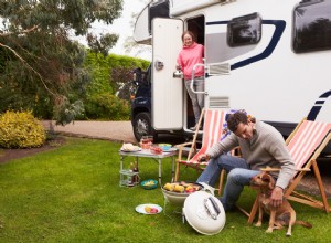 6 razões para acampar com estilo com seu cachorro em um trailer