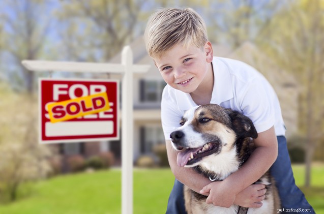 집 구하는 사람과 판매자를 위한 애완동물 정보