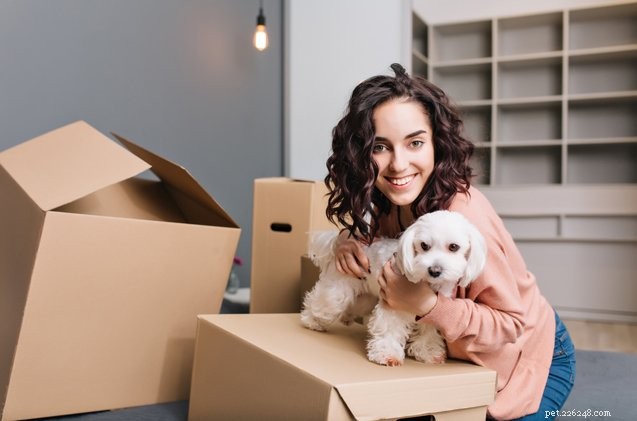 5 советов по поиску квартиры для родителей домашних животных