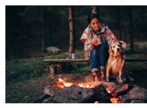 Rätt campingetikett för hundar för väluppfostrade hundar