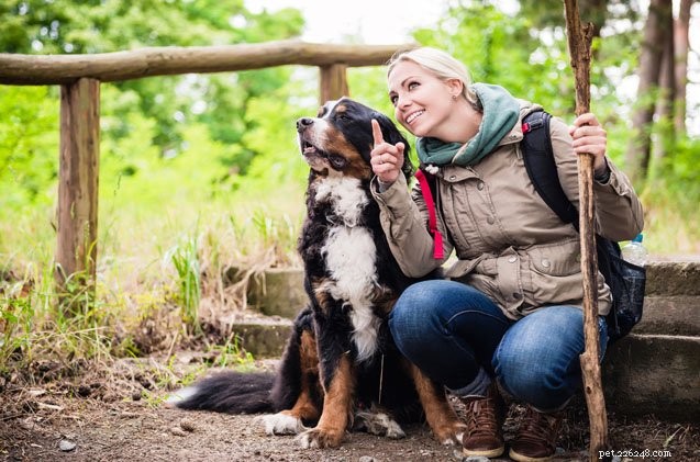 Hoe om te gaan met hondenpoep als de natuur roept tijdens een wandeling