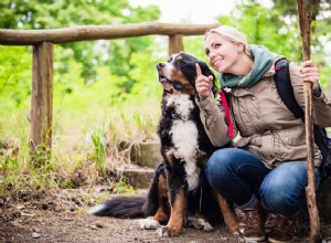 Hoe om te gaan met hondenpoep als de natuur roept tijdens een wandeling