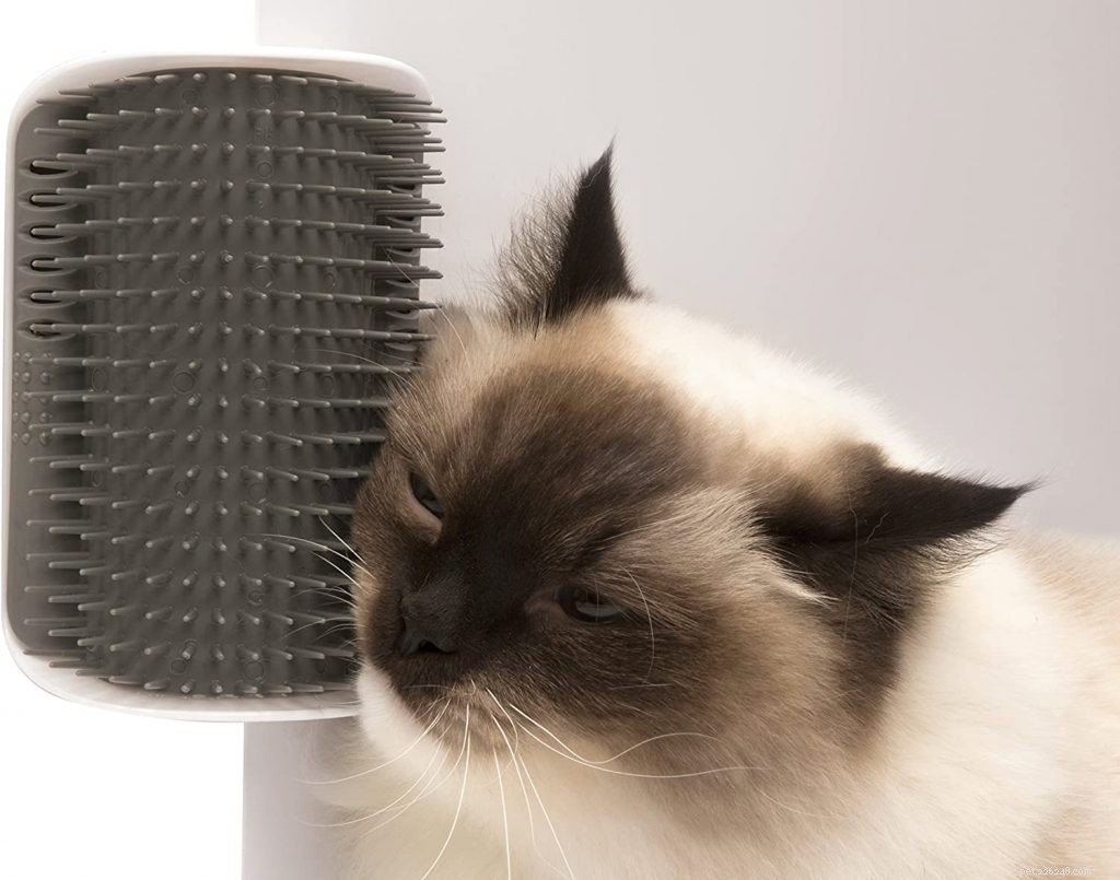 Melhores escovas de cabelo para gatos
