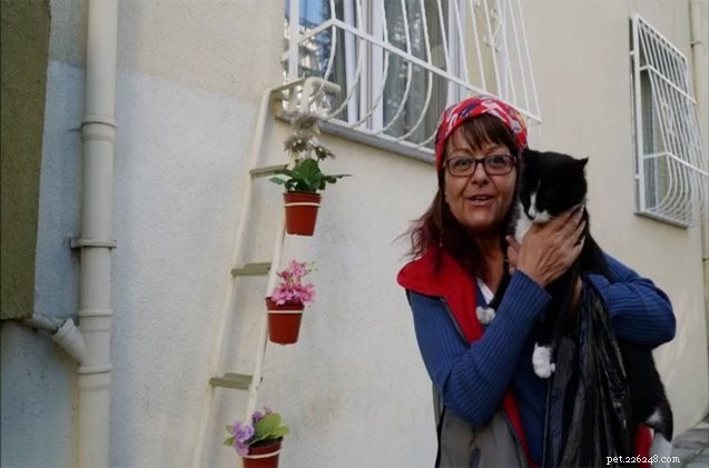 Turkisk kvinna bygger stege till fönster för katter att komma in från kylan