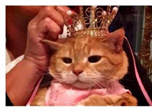 Pussy Princess празднует день рождения с кошкой Quinceanera