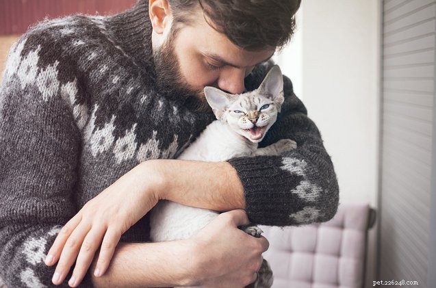 10 gatos que precisam de um abraço