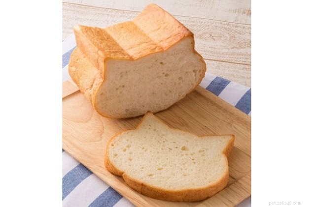 猫のパンはスライスされたパン以来の最高のものです！ 