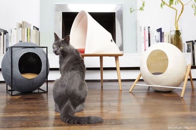 Ontluikende ontwerpers worden uitgenodigd om een ​​prijswinnend kattenbed uit te vinden