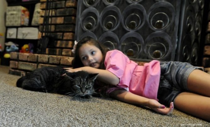 Kočka ‚nepřijatelná‘ sdílí zvláštní pouto s novou rodinou Furever