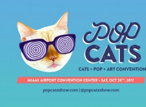 POPCatsは今年10月にマイアミにCatitudeをもたらします 