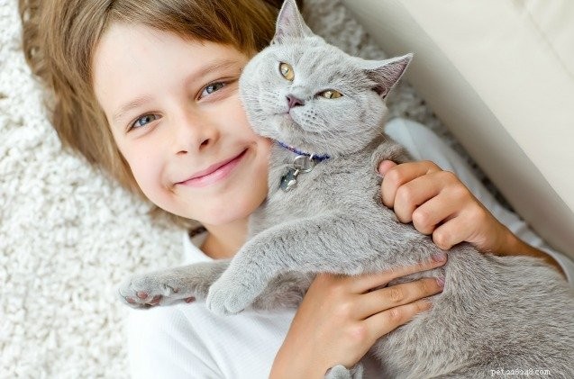 HABRI-beurs helpt bij het bestuderen van de impact van adoptie van katten in opvangtehuis door kinderen met autisme