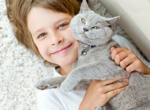 HABRI 보조금은 자폐 아동의 보호소 고양이 입양이 미치는 영향 연구를 지원합니다