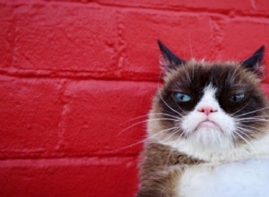 Худшая награда Grumpy Cat, поскольку она возглавляет список Forbes Best Influencers Pet 