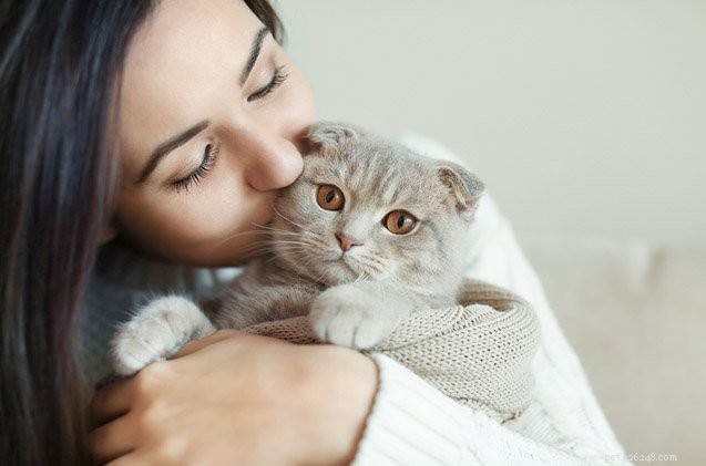 Cinq raisons pour lesquelles les chats volent nos cœurs