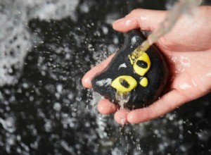 Lush’s Bewitched Bubble Bar is Halloween Purrfection