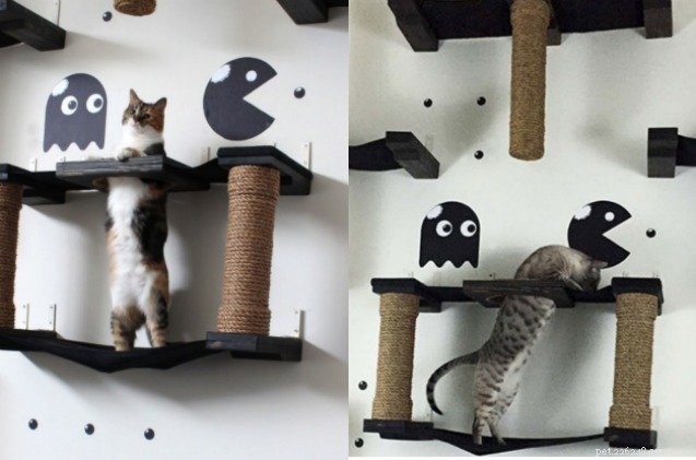 Crazy Cat Houses Nechte vaši kočičku být Indiana Jones