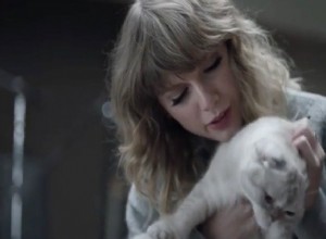 Taylor Swift의 고양이는 그녀의 새 앨범이 발매될 때 그녀의 곁눈질 시간을 도와줍니다