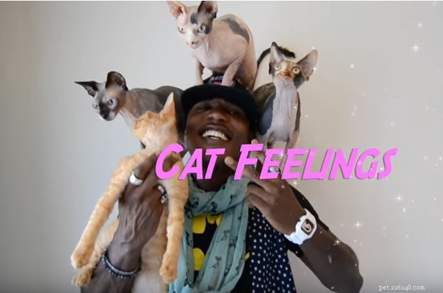 Cat Rapper Moshow condivide i suoi sentimenti di ispirazione felina [Video]