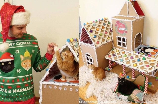 고양이를 위한 DIY Gingerbread House는 거부하기 너무 유혹적입니다 [동영상]