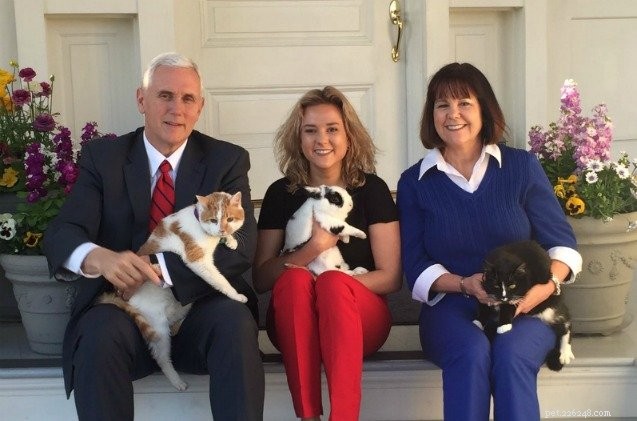Pence 부통령의 가족이 사랑하는 가족 고양이에게 감동적인 공물을 바칩니다