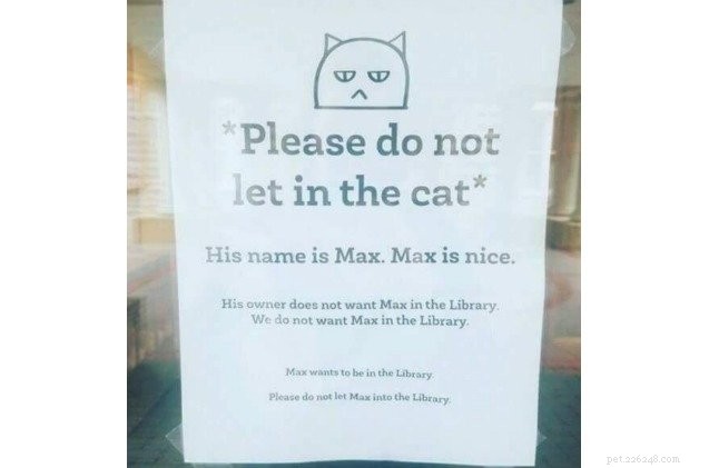 Max the Cat gör vad han vill och fortsätter att smyga in i biblioteket