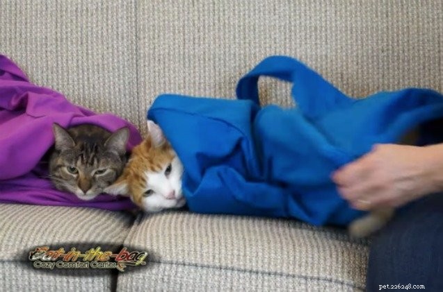 Nosič tašek pro kočky slouží také jako „Snuggie“ pro kočky