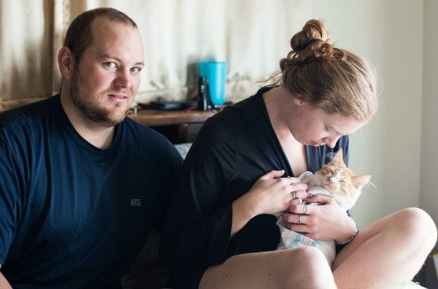 L annuncio di nascita di un gatto  naturale  di Crazy Couple è strano e meraviglioso