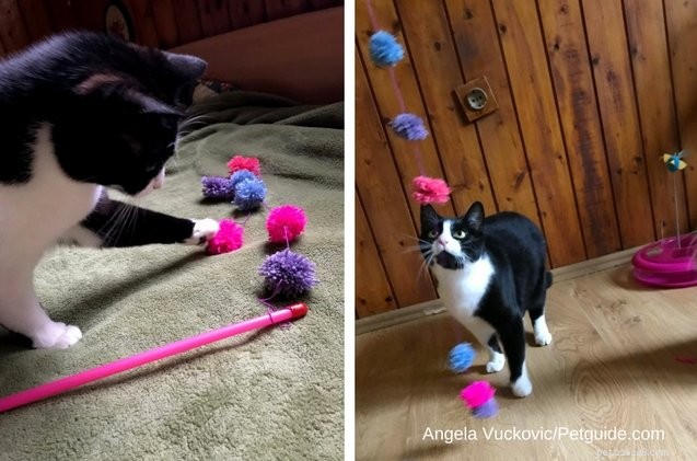 Brinquedo DIY para gato com pom-pom