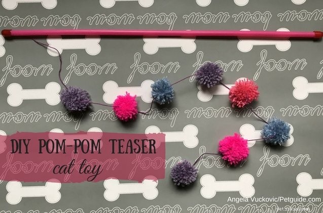 DIY Pom-Pom Teaser Cat Toy